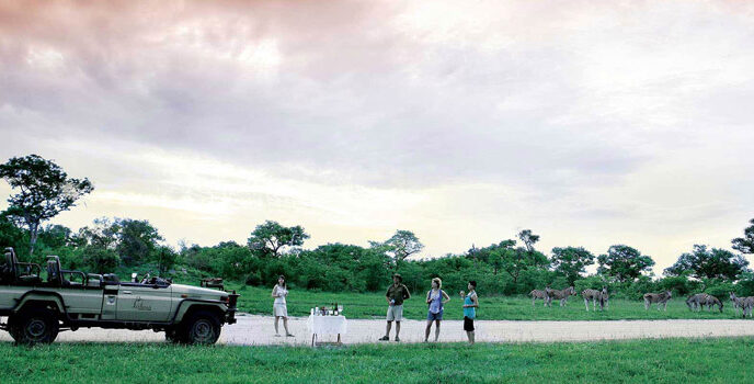Safari