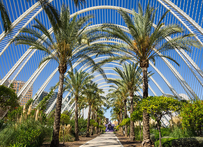 Tertemiz havasını içinize çekebileceğiniz Valensiya'da bol bol yürüyüş yapmak gerek.