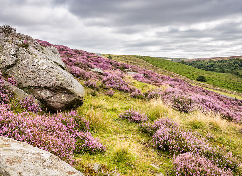 Doğa ve eğlencenin bir arada olduğu Baby Moon Camp.