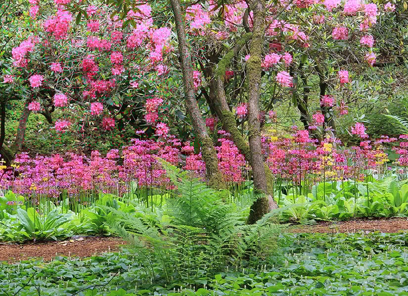 Birbirinden ilginç heykellerin olduğu Colby Woodland Garden.