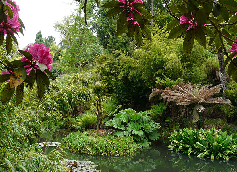 Oksijeni bol egzotik bahçeler...