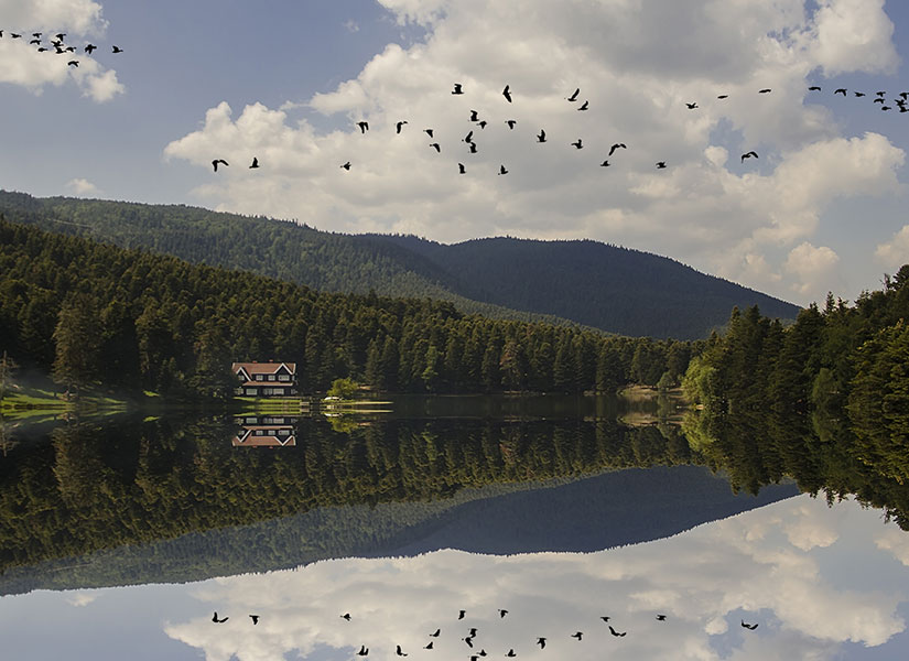 Şehrin karmaşasından uzakta kafa dinlemek isteyenler için en ideal kaçış noktalarından: Abant.