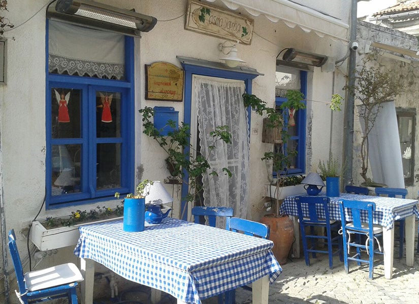 alacati-asma-yapragi