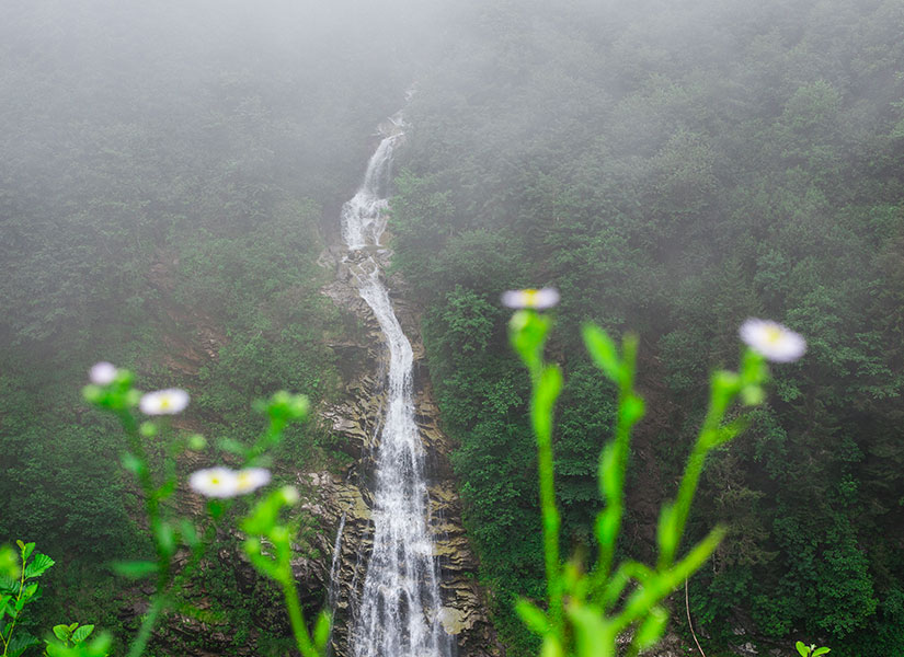 ayder-yaylasi-gelin-tulu-selalesi