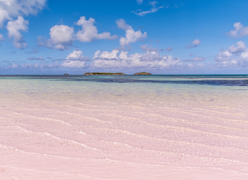 pink sands beach bahamas dünyaca ünlü en güzel plajlar 