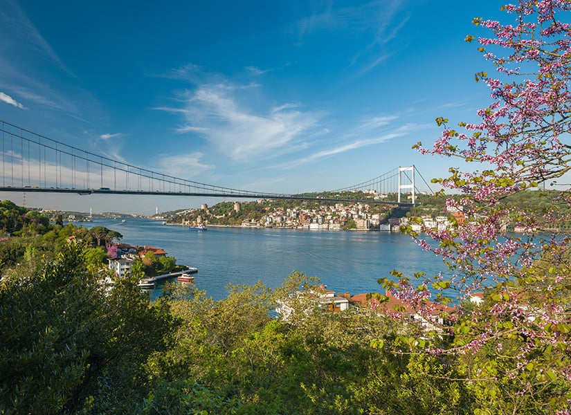 mihrabat korusu