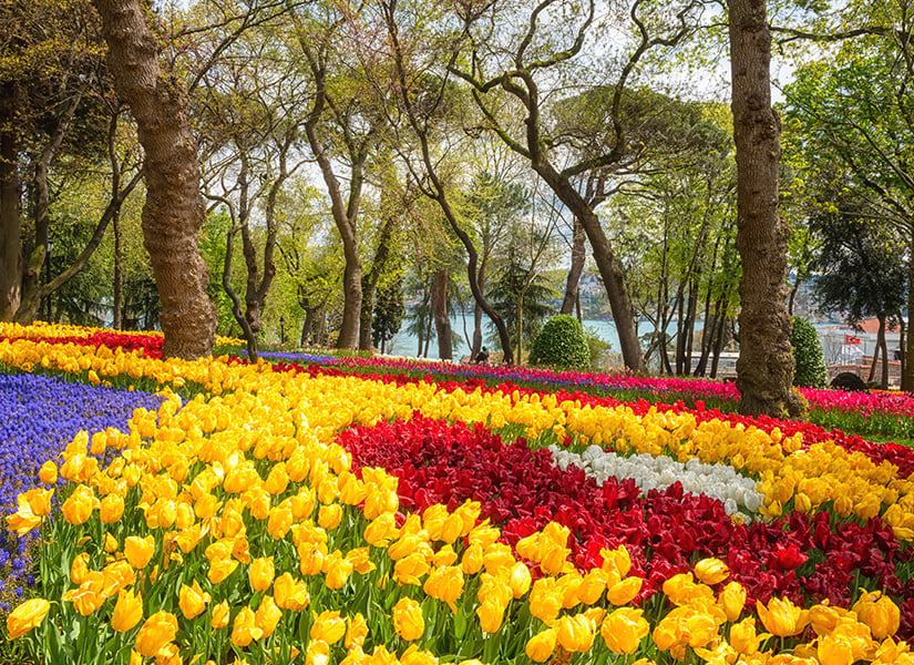 emirgan korusu istanbul görülmesi gereken yerler doğal yaşam alanları parklar