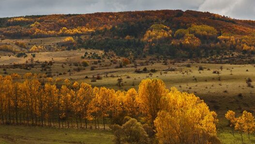Evliyalar şehri Kastamonu gezilecek yerler