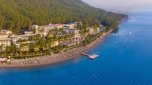 Sentido-Orka-Lotus-tepe