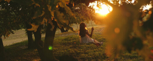 Yavaş Seyahat Anlayışı Nedir