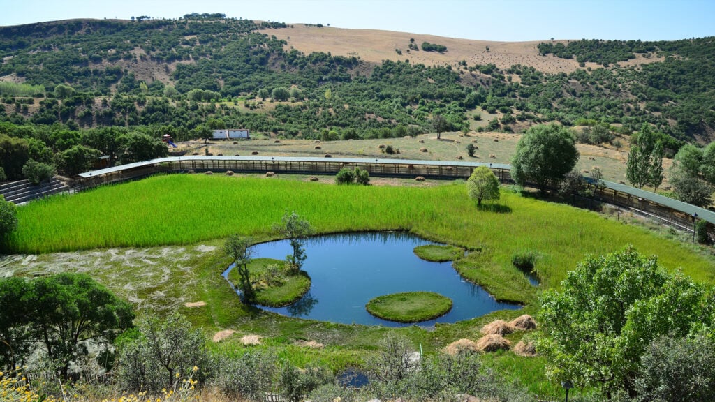 Bingöl
