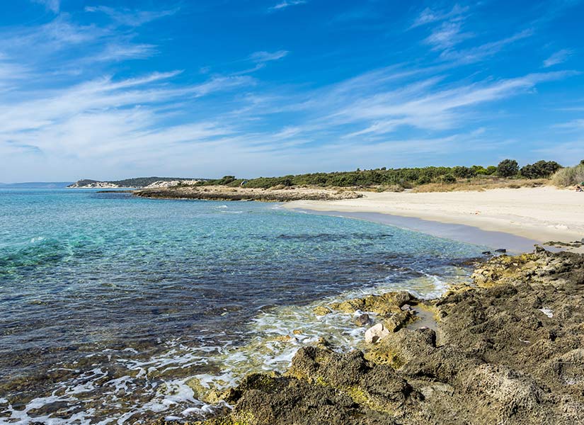 Çeşme Koyları