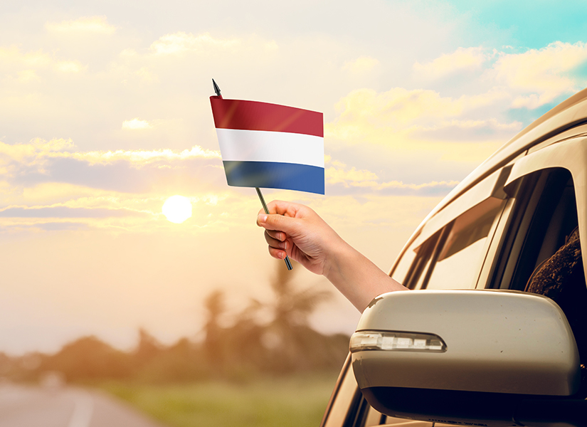 hollanda temsilcilik irtibat bilgileri yararlı telefonlar