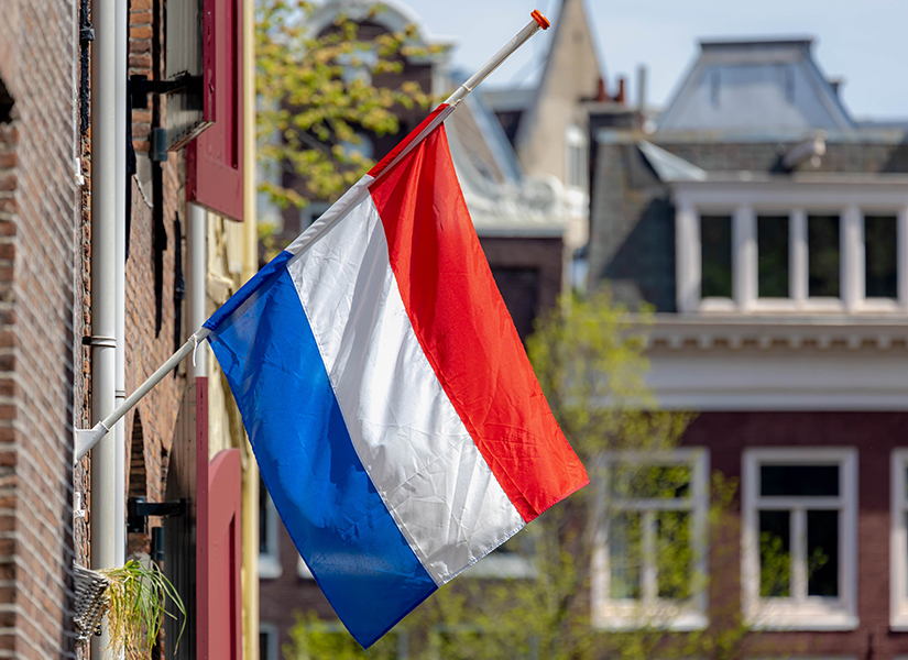 hollanda vizesi başvuru sürecinde dikkat edilmesi gerekenler