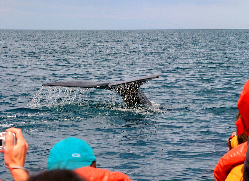 Puerto Madryn