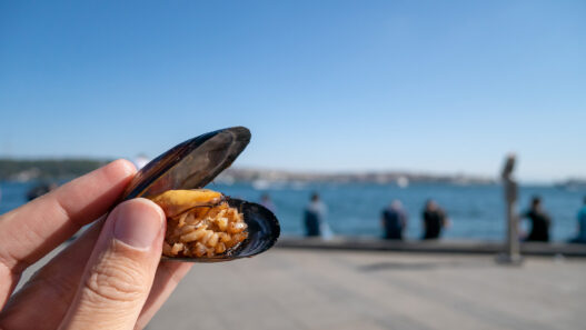 edremitte ne yenir meşhur edremit yemekleri lezzetleri