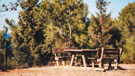Piknik Alanı