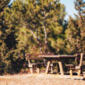 Piknik Alanı
