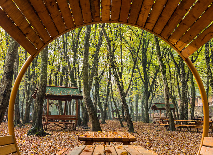 Piknik Alanı