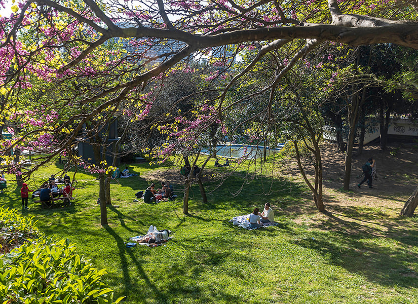 İstanbul Piknik Alanı