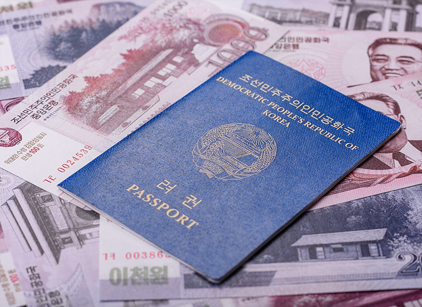 kore vizesine başvurmadan önce banka hesabında döviz olmalı mı