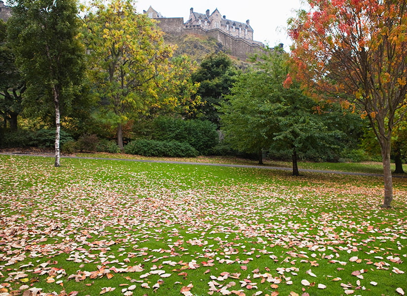 Princes Street Bahçeleri