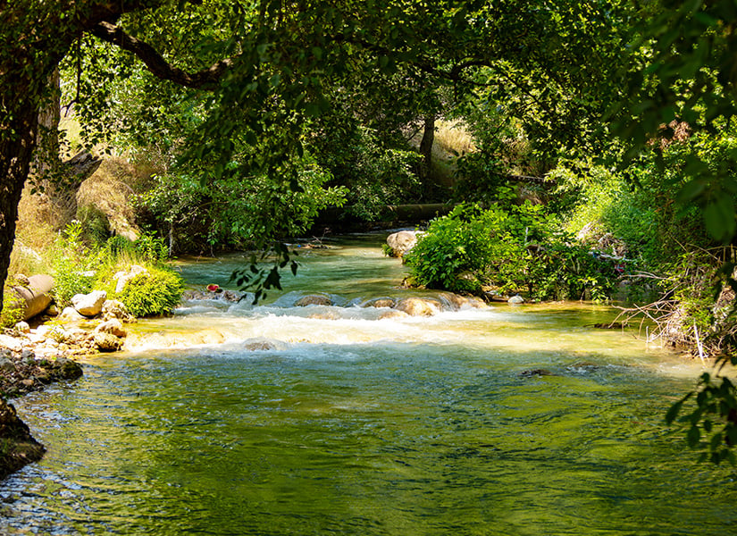 Limonlu Çayı