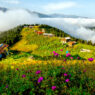 Kaçkar Dağları
