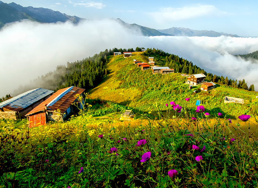 Pokut Yaylası