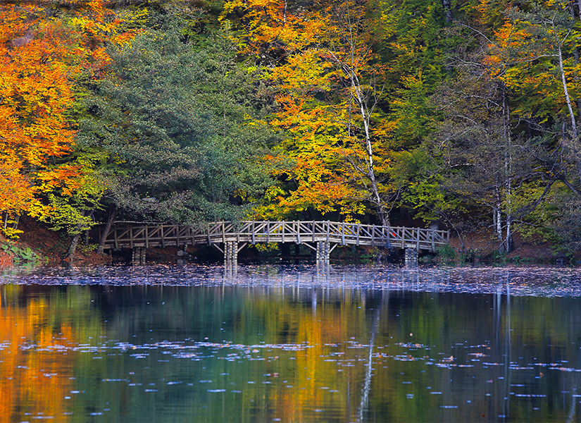 Yedigöller Millî Parkı, Bolu