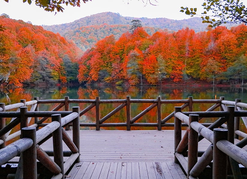 ailece doğayla iç içe tatil için tavsiyeler bolu 