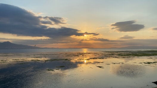 izmir bornova gezilecek yerler en iyi yerler