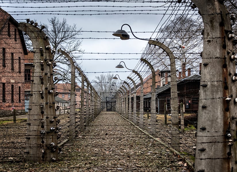 auschwitz birkenau toplama kampı polonya gezilecek yerler