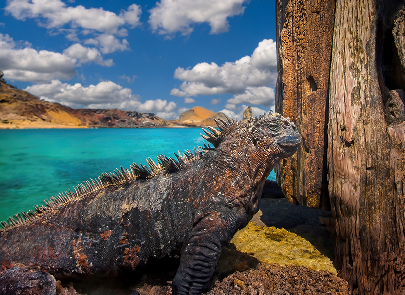 galapagos national park dünyanın en güzel milli parkları ekvador